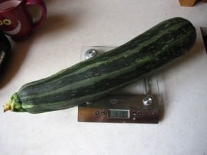 zucchini grilled monster dadcooksdinner pounds