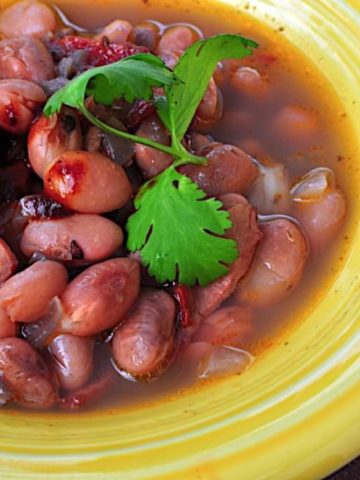 Pressure Cooker Pinto Beans in a Tex-Mex Broth