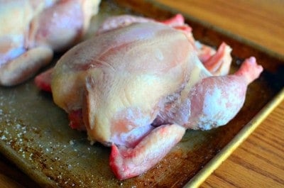 Dry brined chicken - refrigerate overnight