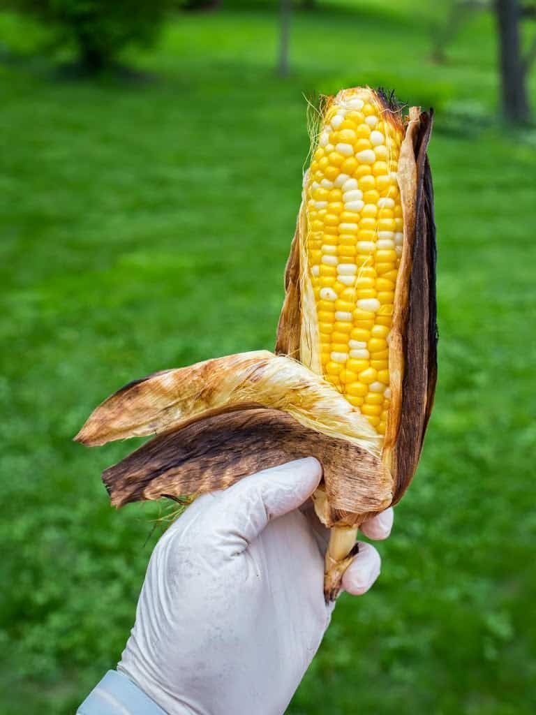 Grilled Corn In The Husk - DadCooksDinner