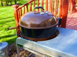 Rotisserie mounted and spinning