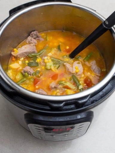Pressure Cooker Mexican Pork Stew With Summer Vegetables | DadCooksDinner.com