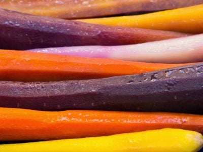 Closeup of multi-colored carrots