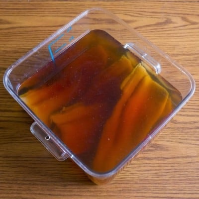 Trout in brine in a food service container