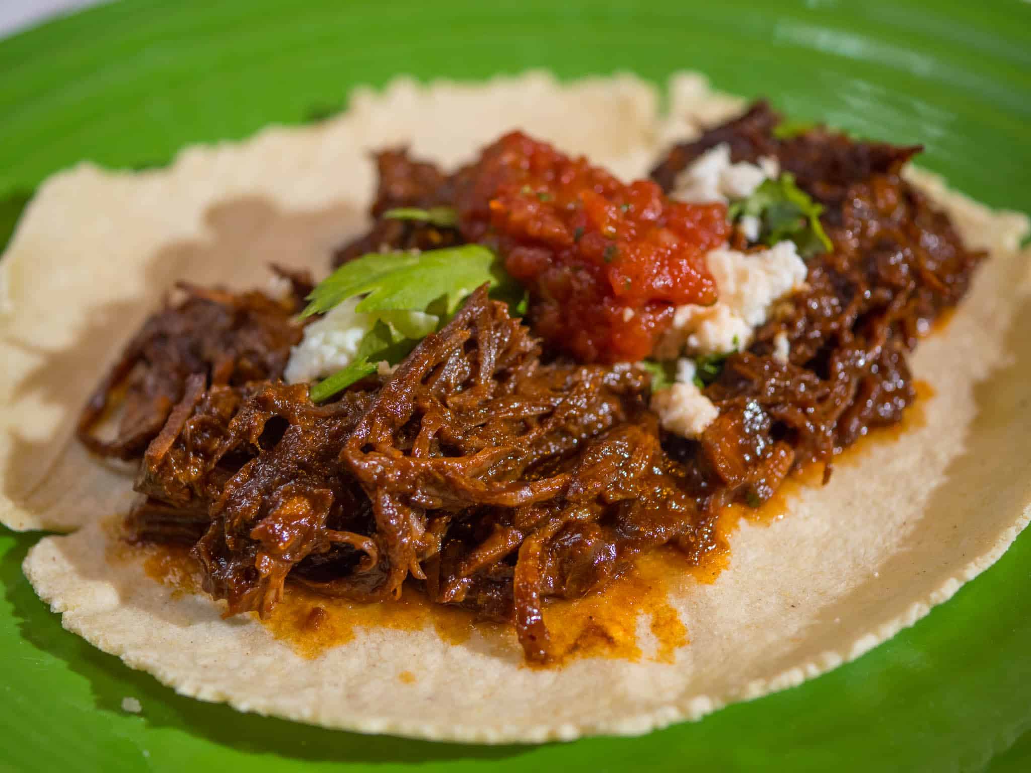 A pile of shredded beef in chile sauce piled on a corn tortilla, and topped with cheese, salsa, and cilantro.