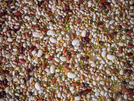 Sorting Bean Mix