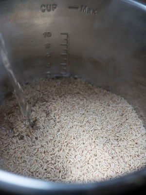 Adding water and rice to the pressure cooker