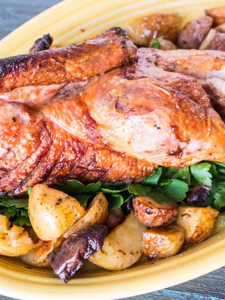 Rotisserie Sirloin Roast - DadCooksDinner