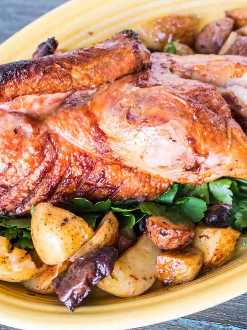 Rotisserie Duck, Peking Style - DadCooksDinner