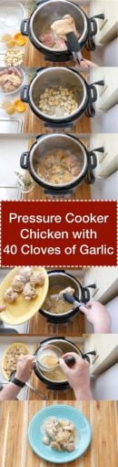 Pressure Cooker Chicken With 40 Cloves of Garlic | DadCooksDinner.com