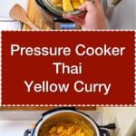 Pressure Cooker Thai Yellow Curry with Chicken | DadCooksDinner.com