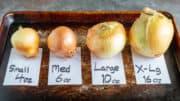 Onions, lined up by size from small to large