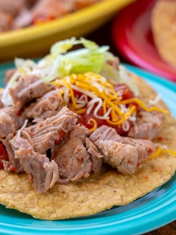 Pork taco topped with salsa, shredded cheese, and shredded lettuce on a teal plate