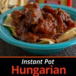 A bowl of beef goulash over noodles, with a bag of noodles and a canister of paprika in the background, with the text Instant Pot Beef Goulash | DadCooksDinner.com