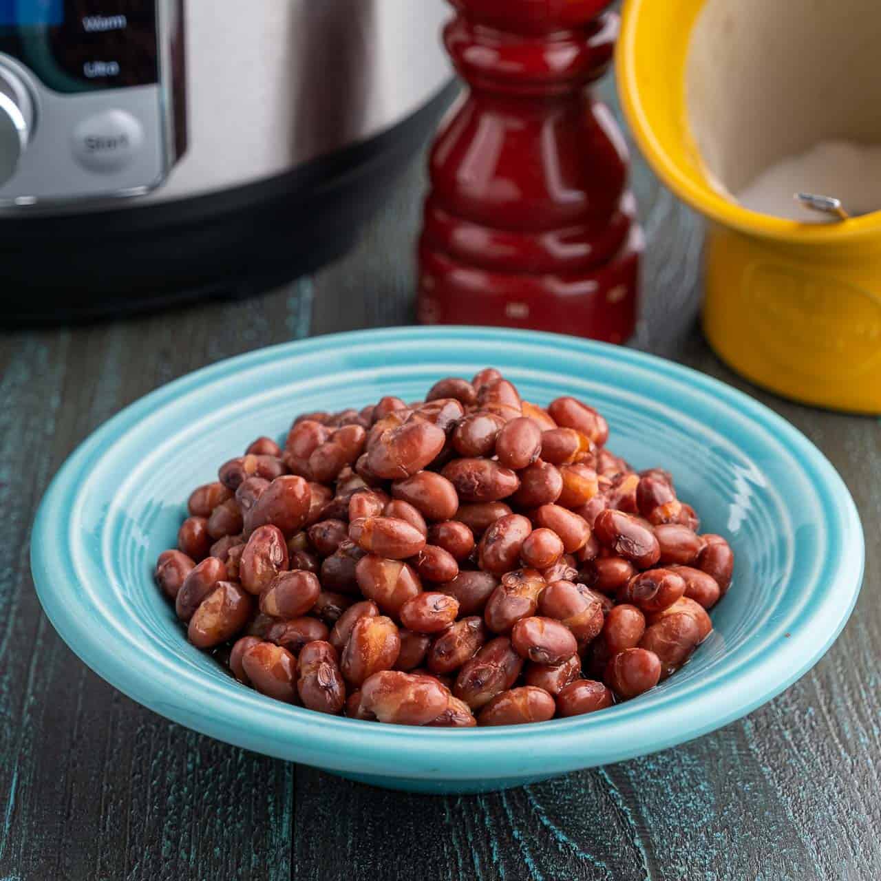 https://www.dadcooksdinner.com/wp-content/uploads/2019/11/Instant-Pot-Small-Red-Beans-1280x-4236.jpg