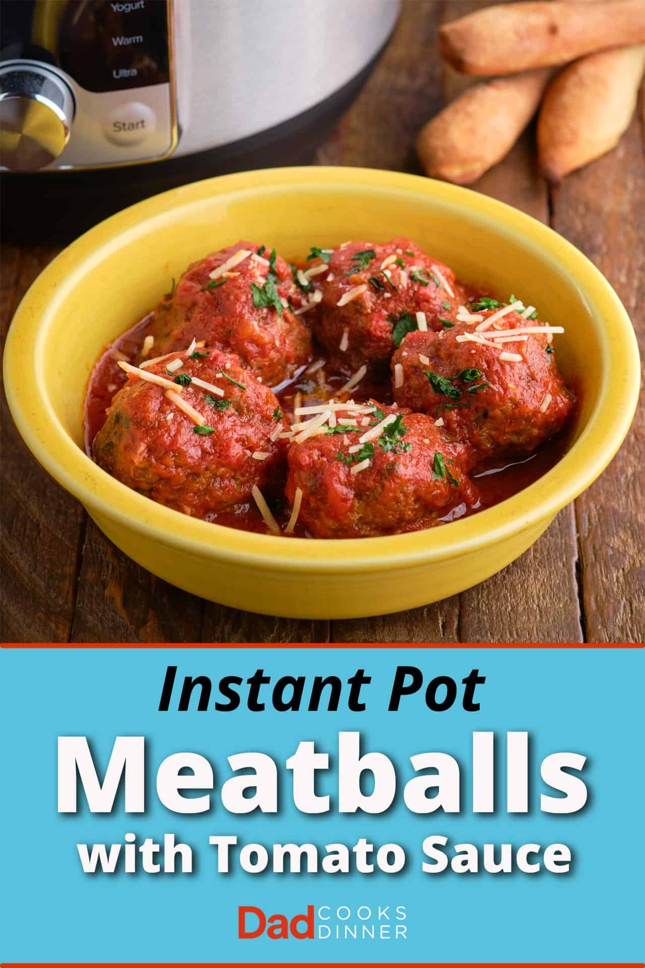 Instant Pot Meatballs With Tomato Sauce Dadcooksdinner,Hognose Snake Playing Dead