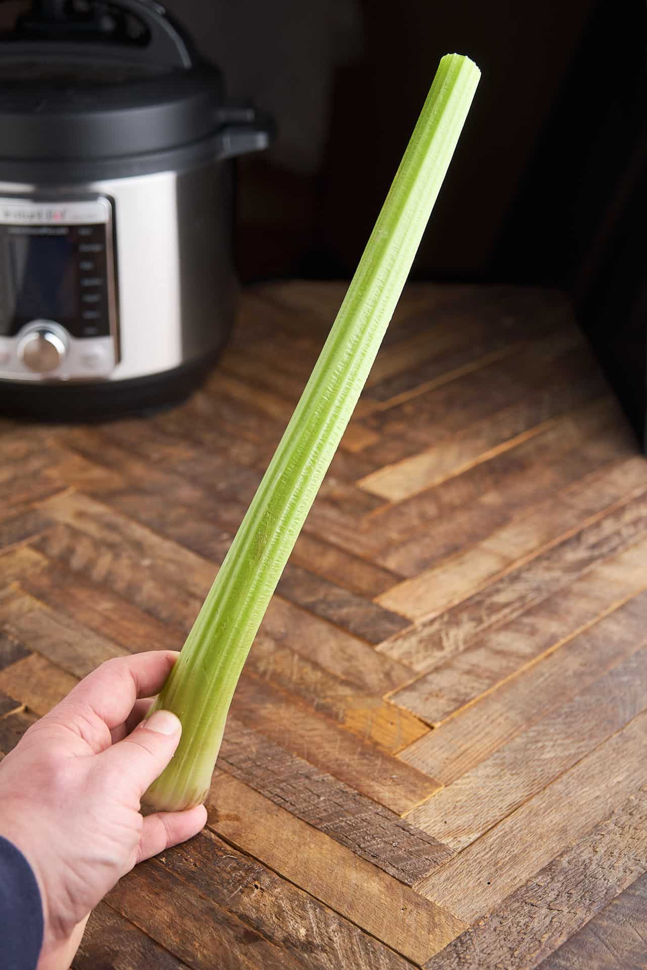 A Stalk of Celery vs a Rib of Celery? DadCooksDinner