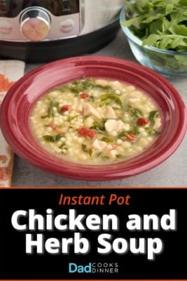 A bowl of chicken and herb soup, with bits of chicken, pancetta, herbs, and pasta visible, and an Instant Pot and bowl of arugula in the background.