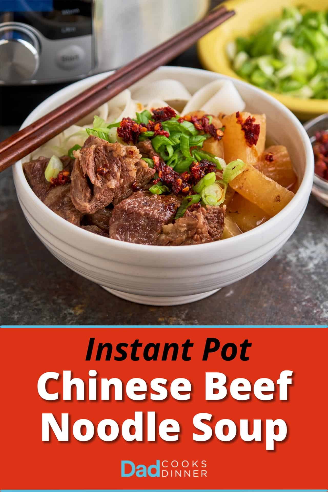 Instant Pot Chinese Beef Noodle Soup with Short Ribs DadCooksDinner