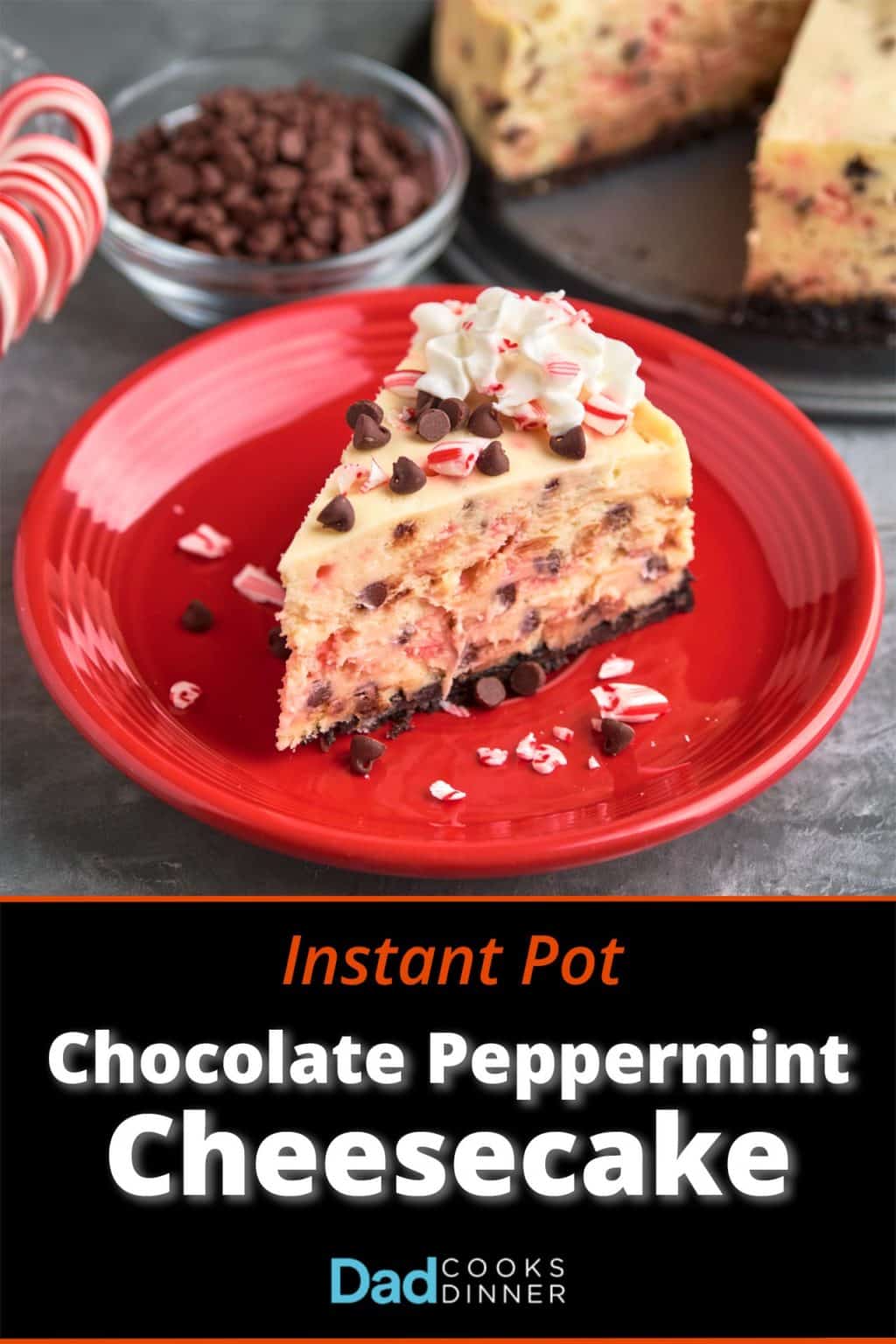 Instant Pot Chocolate Peppermint Cheesecake - DadCooksDinner