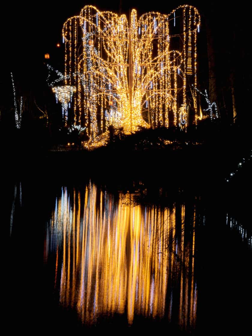 Wild Winter Lights, Cleveland Metroparks Zoo