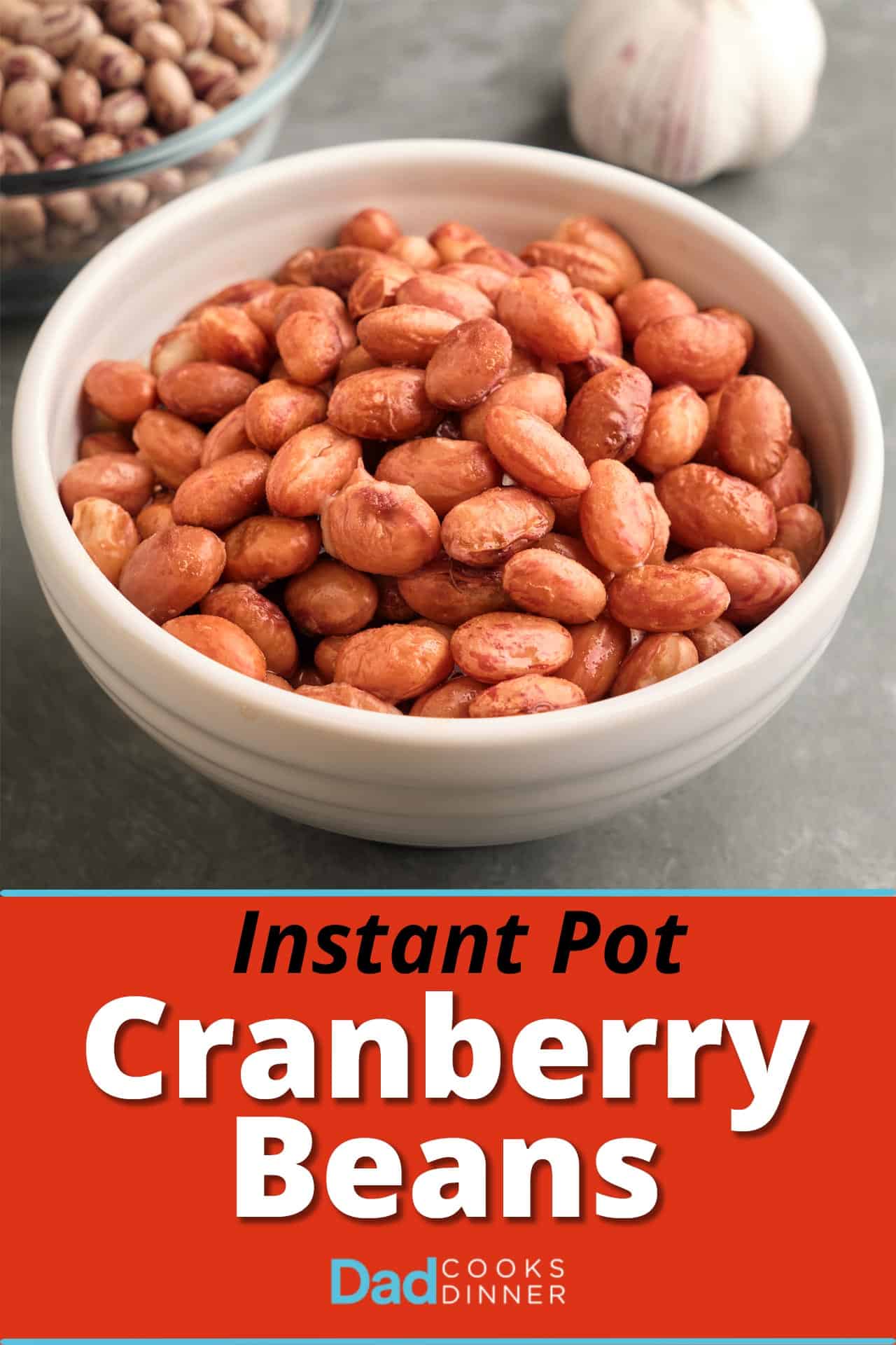 A bowl of cranberry beans, with a head of garlic and another bowl of dried cranberry beans in the background