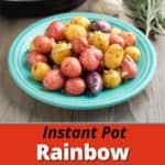 A plate of rainbow baby potatoes sprinkled with garlic and rosemary, with a sprig of rosemary, a head of garlic, and a pressure cooker in the background