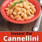 A bowl of cannellini beans with a sprig of rosemary on top and a spoon on the side