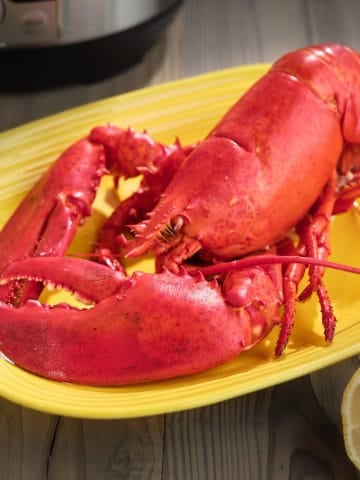 A cooked lobster on a yellow plate, with a lemon and an Instant Pot in the background