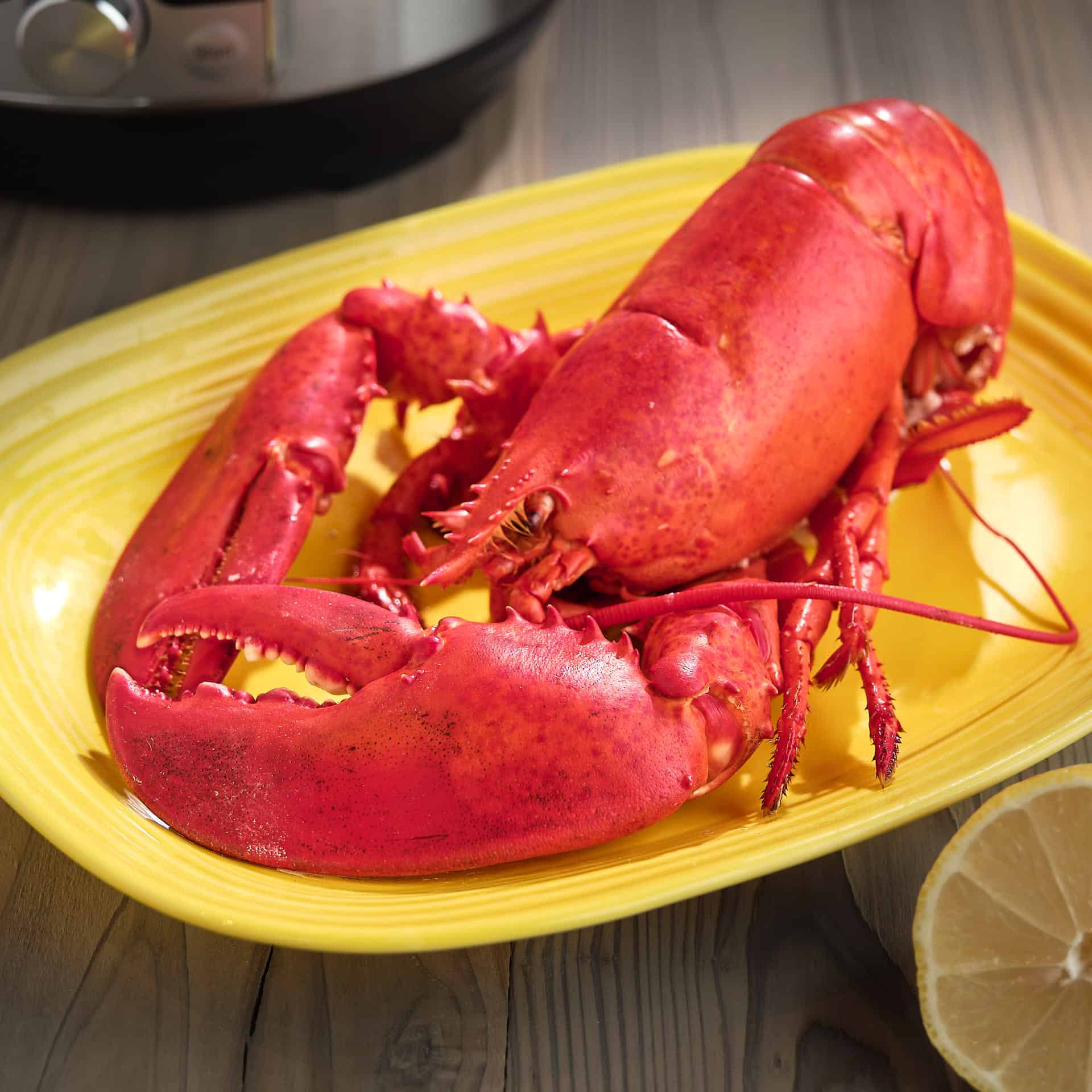 A cooked lobster on a yellow plate, with a lemon and an Instant Pot in the background