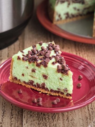 A plate with a slice of mint chocolate chip cheesecake, sprinkled with more chocolate chips, and an Instant Pot in the background