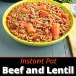 A bowl of lentil and beef stew with an Instant Pot and parsley in the background