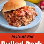 Instant pot pulled pork sandwich with barbecue sauce