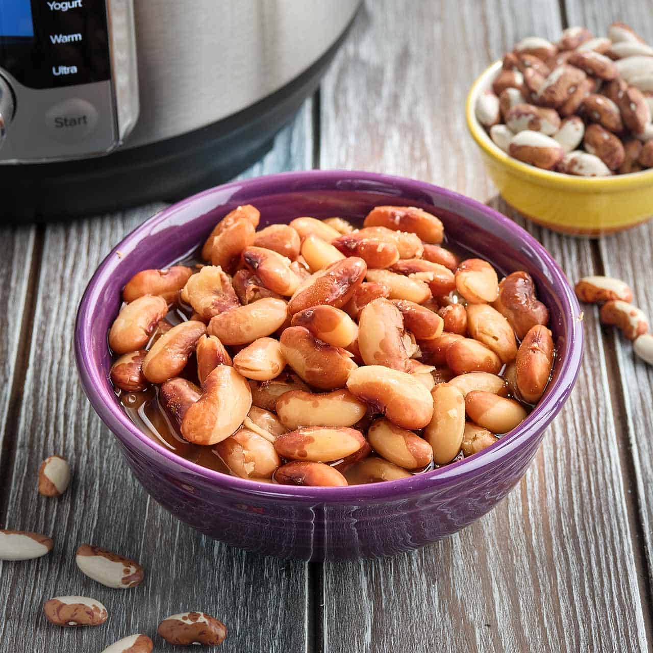 A bowl of cooked snowcap beans with a smaller bowl of uncooked snowcap beans