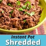A bowl of shredded beef sprinkled with cilantro