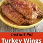 A plate of turkey wings smothered in gravy