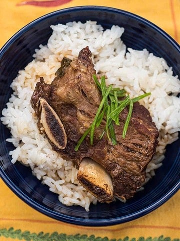 A Korean Short rib on a bed of rice, sprinkled with slivered green onions