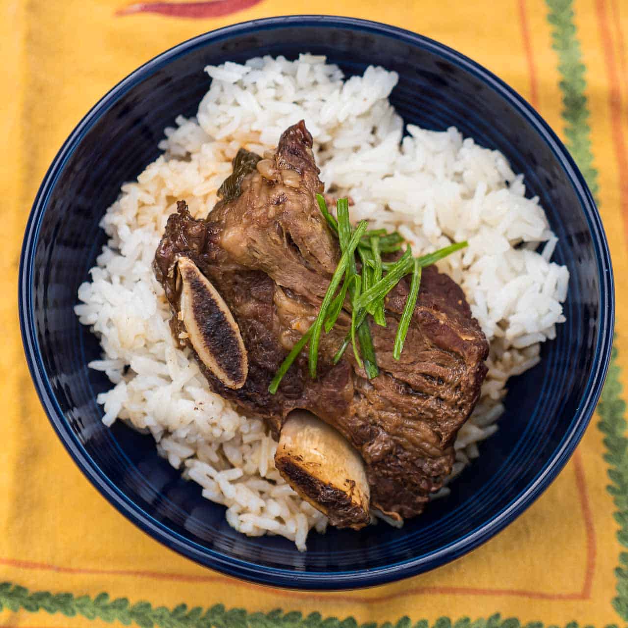 A Korean Short rib on a bed of rice, sprinkled with slivered green onions