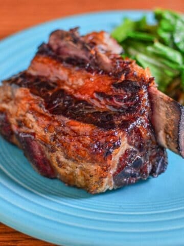 Sous Vide Short Ribs - browned and on a plate