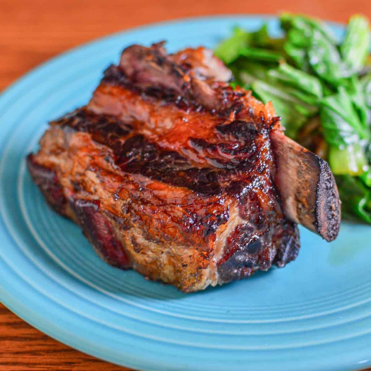Sous Vide Short Ribs - browned and on a plate