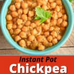 A bowl of Instant Pot Chickpea Curry