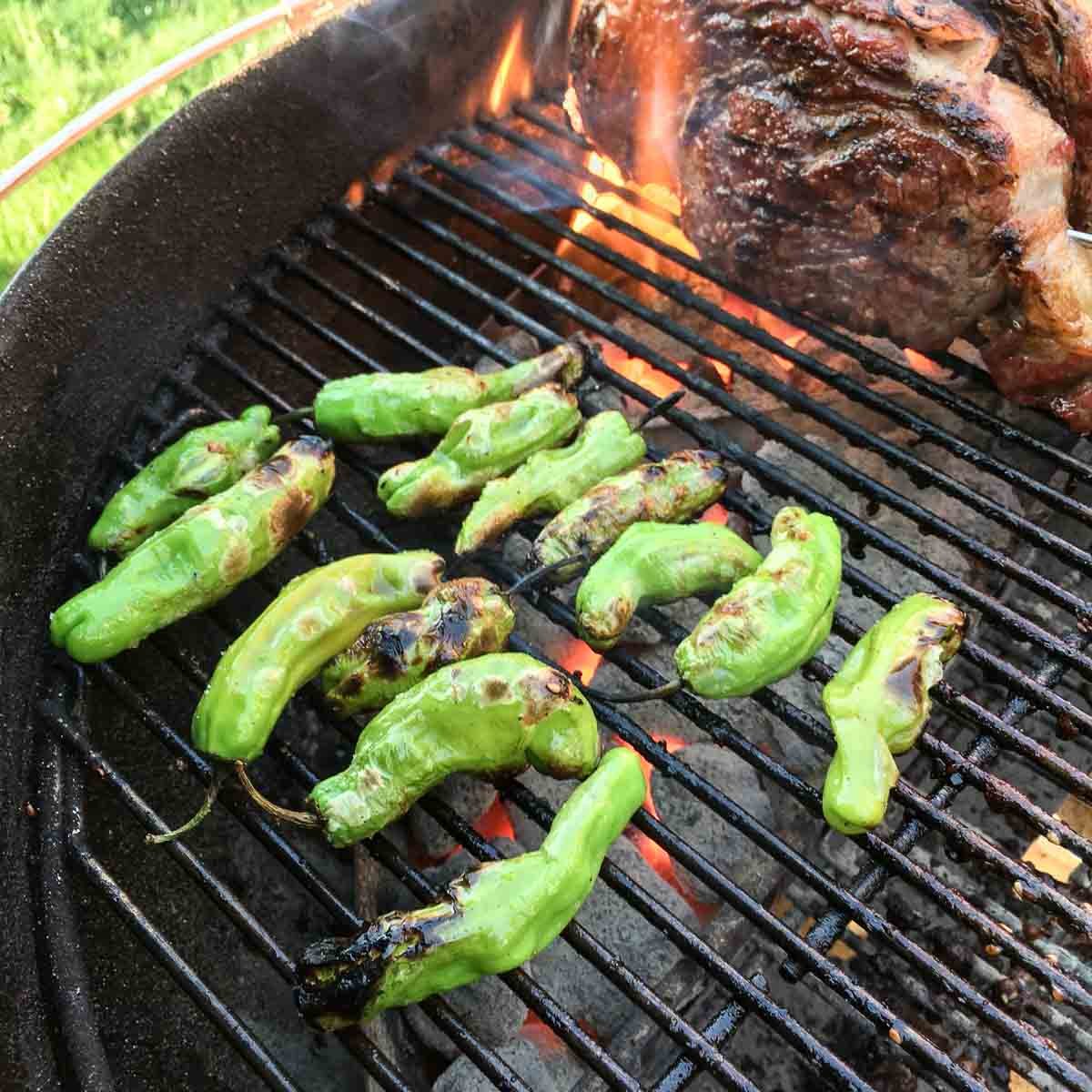 Shishito peppers blistering on the grill