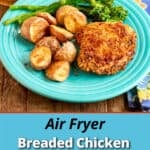 A plate of air fryer breaded chicken thighs and potatoes