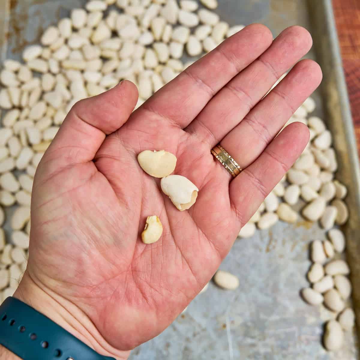 Removing broken beans