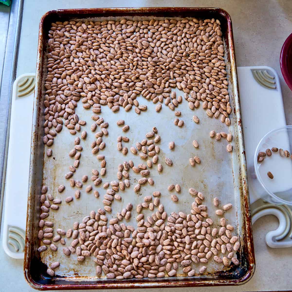 Pinto beans being sorted on a rimmed baking sheet