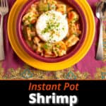 A bowl of Instant Pot Shrimp Etouffee with rice
