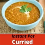 Bowl of Curry Red Lentil Soup