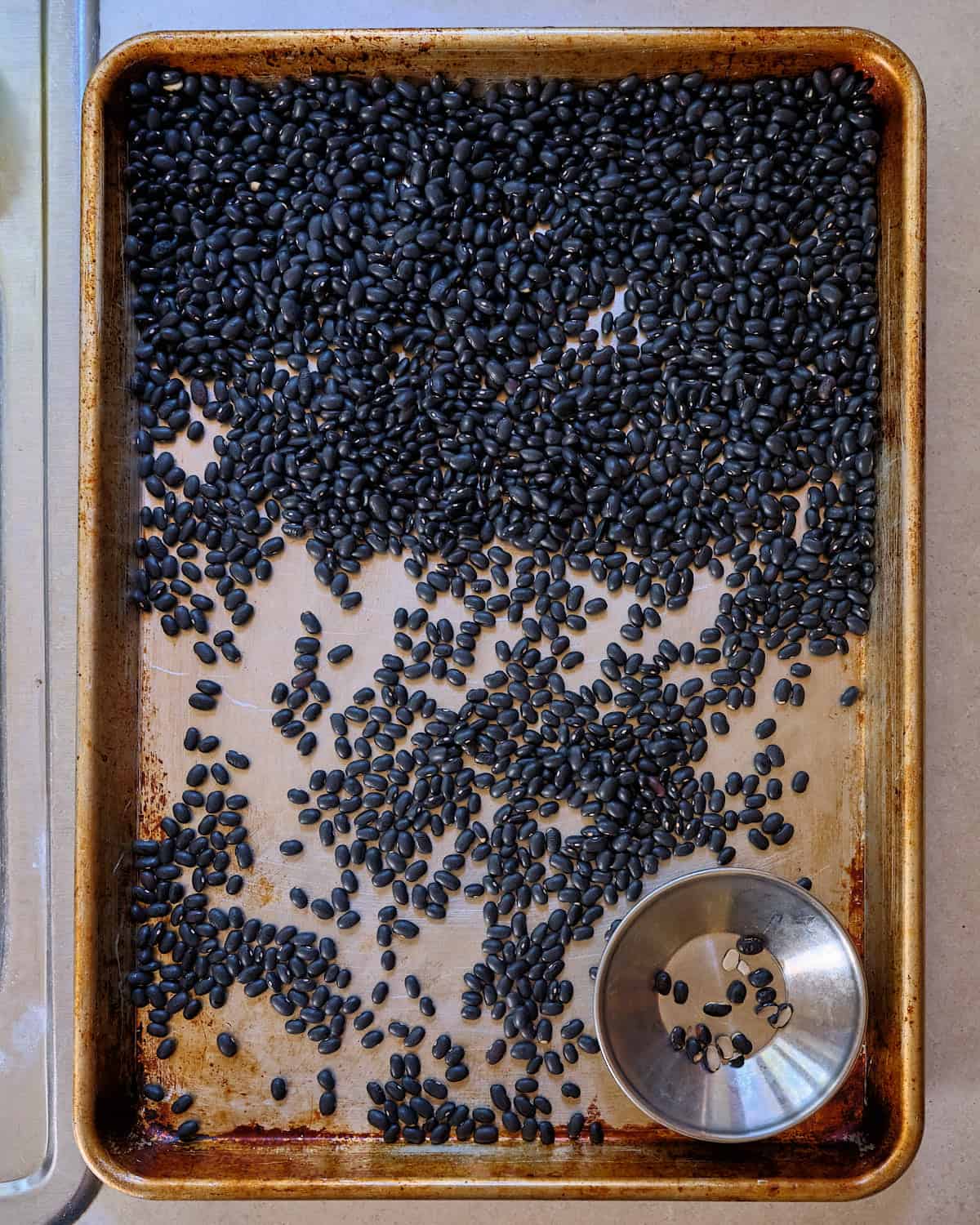 Sorting black beans on a rimmed baking sheet