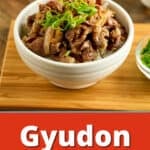 A bowl of gyudon topped with sliced green onions and shichimi togarashi